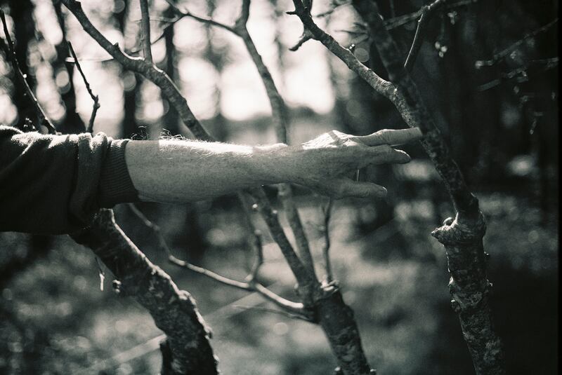 Thomas Barry in his orchard. 'Where are the wild bees? There were several varieties of wild bees around. I don’t see them any more. The lack of creatures is so noticeable.' Photograph: Myrium Riand