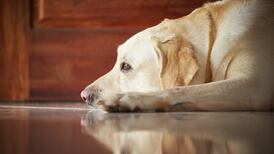 How investing money can spur our creativity