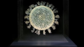 The long and short of it – ‘Long-Covid’ is not unique in viral illnesses