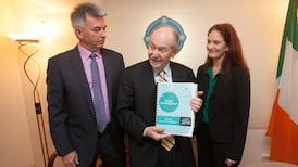 Garda under-recording crime trends - inspectorate