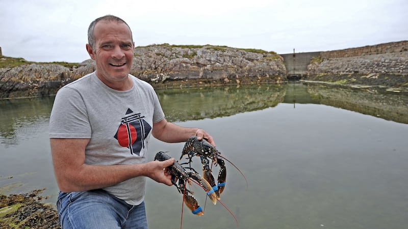 Cathal King of live shellfish exporters King’s of Connemara in Cleggan, Co Galway. Photograph: Conor McKeown