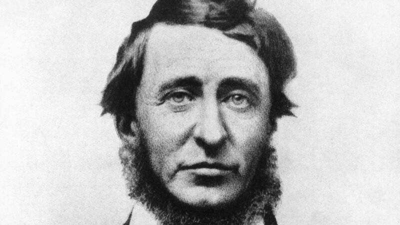 Henry David Thoreau (1817-62): studied the fragility of nature, but was also aware of its force