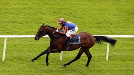 Former Irish Derby winner Hurricane Run dies