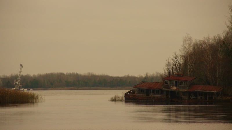 Parts of the Chernobyl exclusion area have become swamplands as nature against the odds reasserts itself. Photograph: Stephen Starr