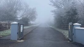 ‘Hopeless’ hundred in Direct Provision face third night of tents in sub-zero conditions