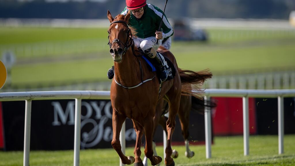 Jessica Harrington’s Cayenne Pepper in the Filly & Mare at the Breeders’ Cup. Photograph: Morgan Treacy/Inpho