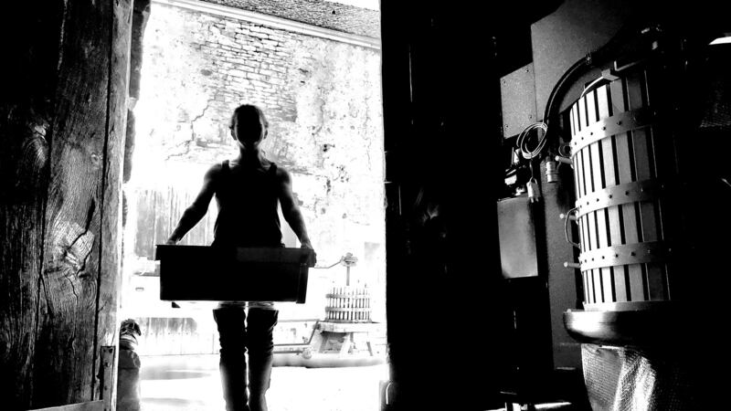 Róisín Curley started out producing 2,000 bottles and has now grown her output to 9,000 bottles