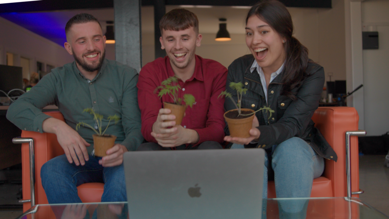 Social enterprise GIY works with Irish companies from multinationals to SMEs to bring food growing into the workplace.