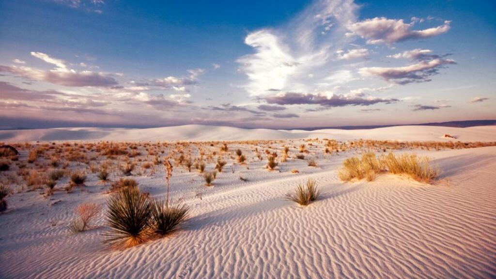 Two tourists from France were found dead after hiking in New Mexico’s White Sands National Monument.