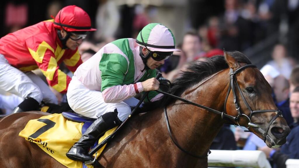Jockey Wayne Lordan will be in action at Naas this evening. Photograph: Alan Crowhurst/Getty Images