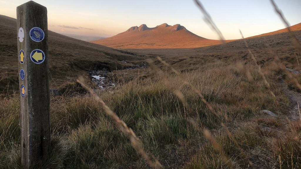 ‘Four Birds’, Mourne Mountains, Co Down.