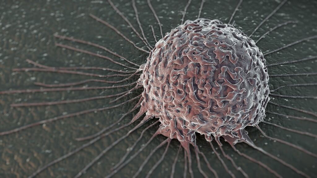 The disparity in survival rates related to deprivation was most pronounced in the greater Dublin area. Photograph: Getty Images