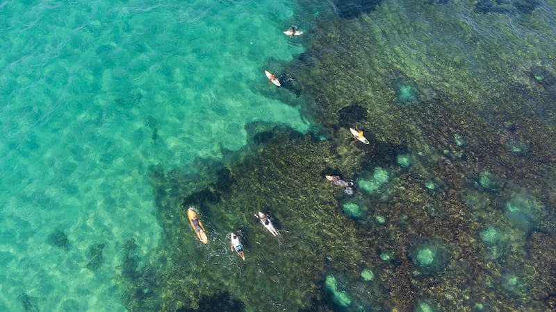 Senior surfing training at Dragons drone on Tofo Beach. Photograph: Ritchie Hunt
