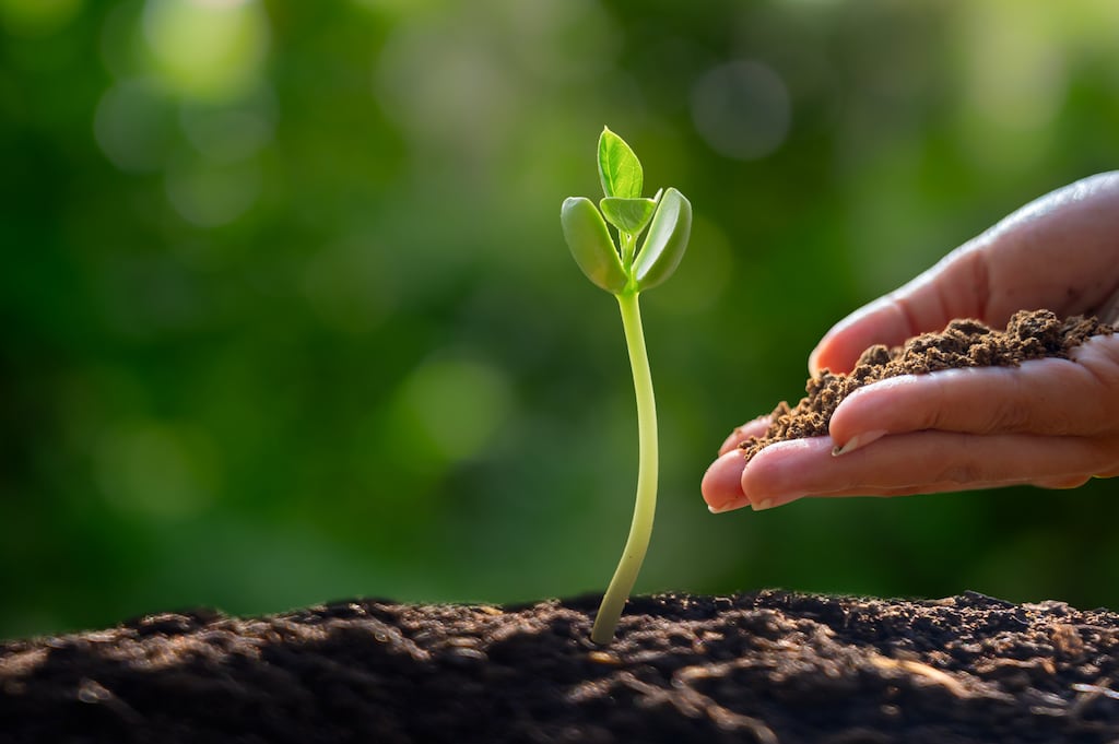 The AIB sustainabilty conference takes place online on November 27th