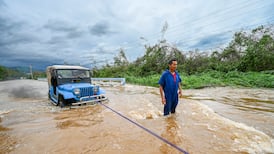 Hurricane Melissa in pictures: Wrecked livelihoods, lost animals, salvaged homes