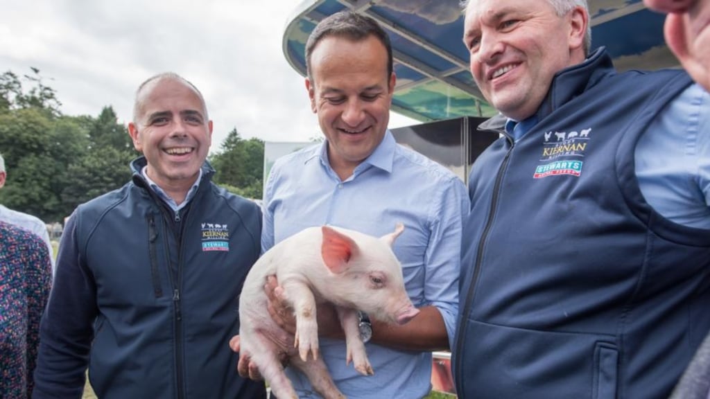 At the Virginia Show in Co Cavan, Taoiseach Leo Varadkar mentioned the need to increase investment and spending on key public services and a tax and welfare package which ‘puts a little bit of money into everyone’s pocket’.