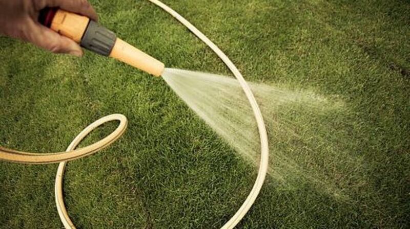 The watering of gardens attached to hotels or other businesses is banned, but garden centres and “visitor” gardens, such at the National Botanic Gardens in Glasnevin, are exempt from the ban. Photograph: Getty Images