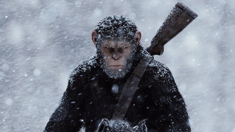 War on the Planet of the Apes