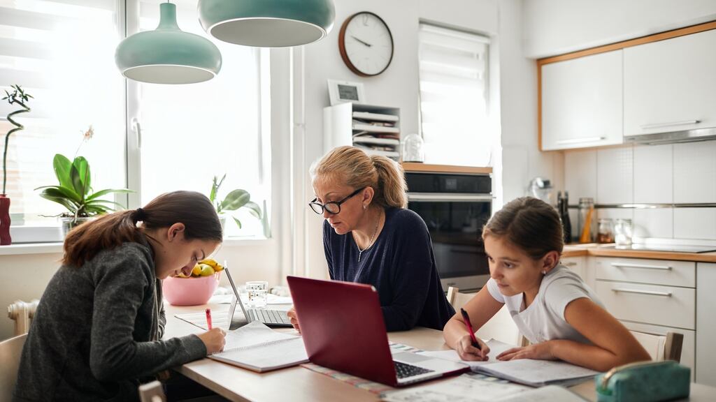 The Supreme Court was told the Constitution requires the State to protect and not destroy the possibility of home-schooling but there is no concomitant duty on the State to ‘actively assist’ it. Photograph: iStock