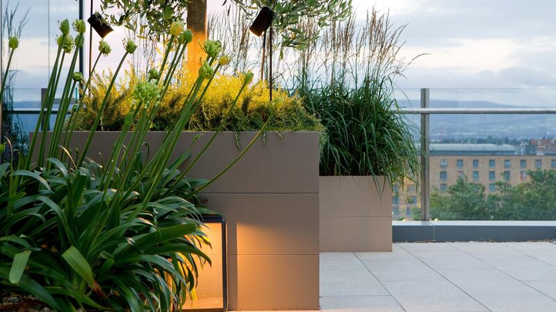 City rooftop garden designed by Paul Martin