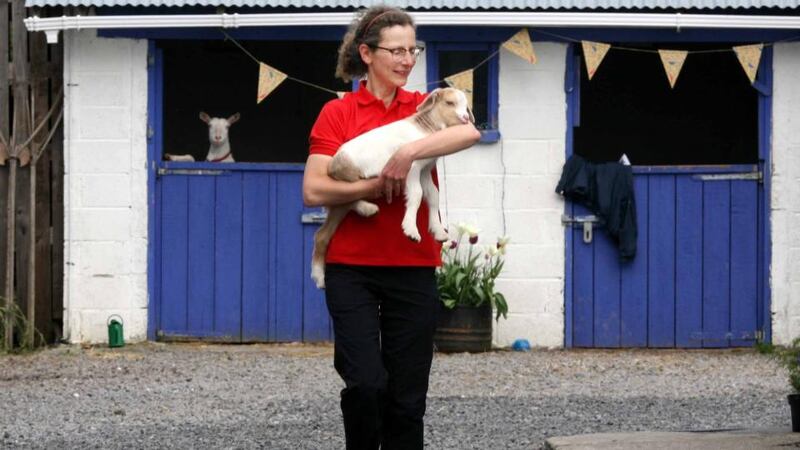 Nanny goat (Charm) keeps an eye on Judit and her kid (Pascal). Photograph: Brian Farrell