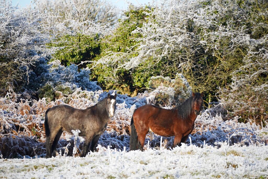 Heavy frost in a field in Co Louth in 2022: A yellow low temperature and ice warning is in place across the country on Wednesday night and Thursday night. Photograph: Niall Carson/PA