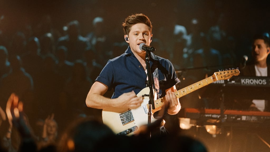 Niall Horan will know a tongue-lashing on State TV from the The Abuser in Chief counts as the greatest imaginable tribute. Photograph: Terence Patrick/CBS via Getty Images