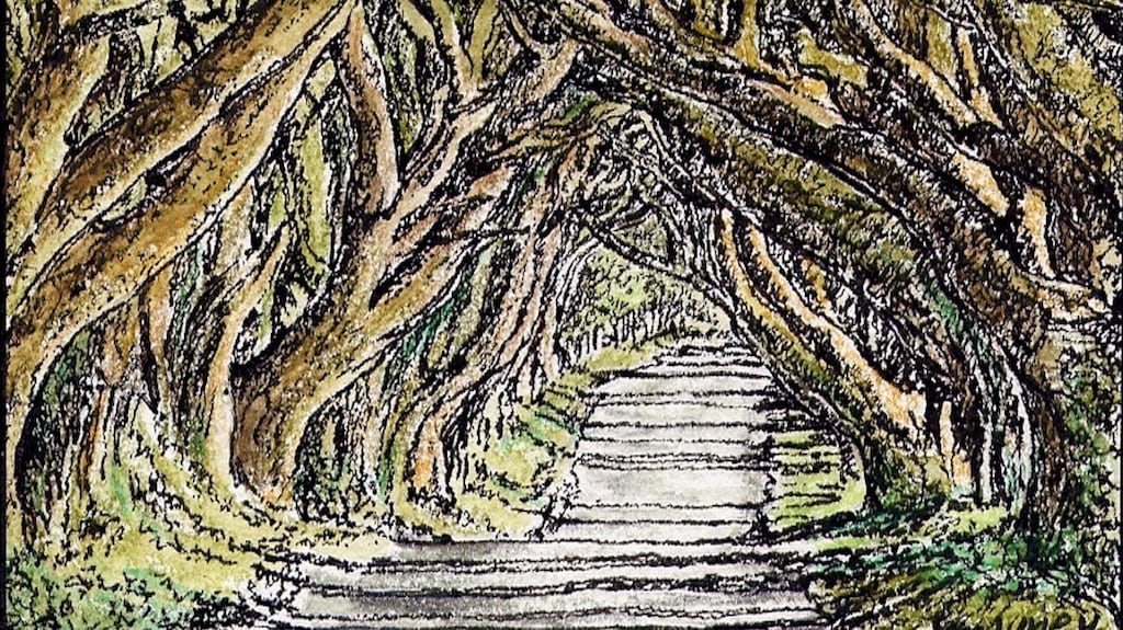 Dark Hedges of Stranocum, Co Antrim by Michael Viney