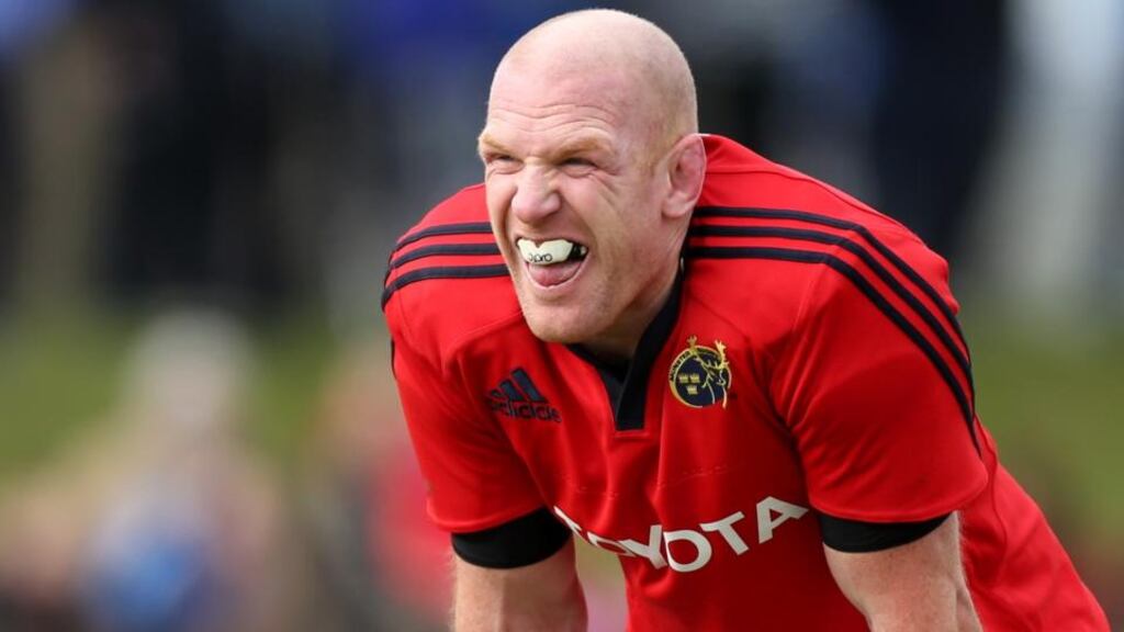 Paul O’Connell make his long-awaited return for Munster today. Photograph: James Crombie/Inpho