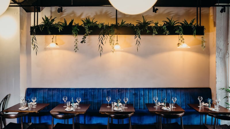 The Glass Curtain, Thompson House, MacCurtain Street, Cork.