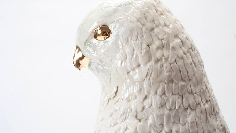 ‘Preaching to the Birds’, Claire Curneen