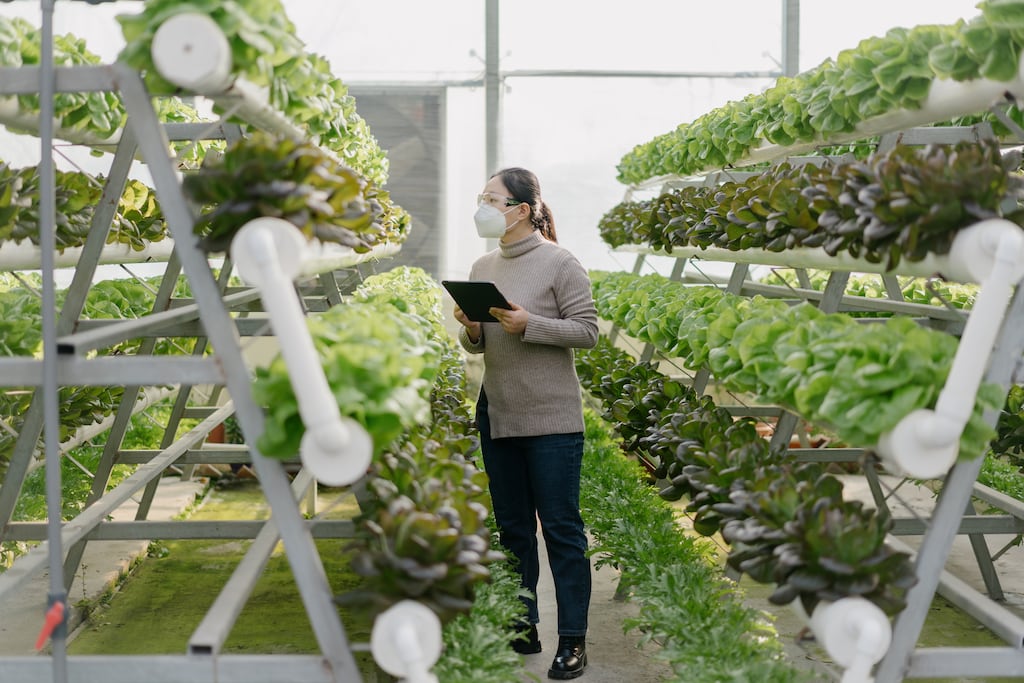 Two new cross-jurisdictional research centres were launched earlier this year by Science Foundation Ireland in conjunction with Northern Ireland’s Department of Agriculture, Environment and Rural Affairs and UK Research and Innovation.