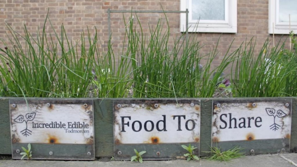 Chives growing in front of the community college in Todmorden, UK, one of the city’s dozen or so public growing spots. Photograph: Anna Polonyi