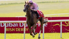 Irish Derby the pick of early fixtures when racing resumes