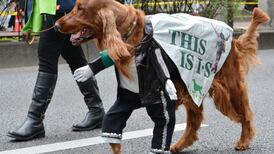 Up to 30,000 attend Tokyo St Patrick’s Day parade
