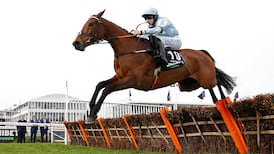 Honeysuckle bids to follow Constitution Hill’s devastating weekend win in Hatton’s Grace