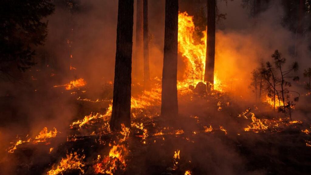 The Rim Fire burns near Camp Mather, California. The fire has burned 160,980 acres on the northwest side of Yosemite National Park. Photograph: Reuters