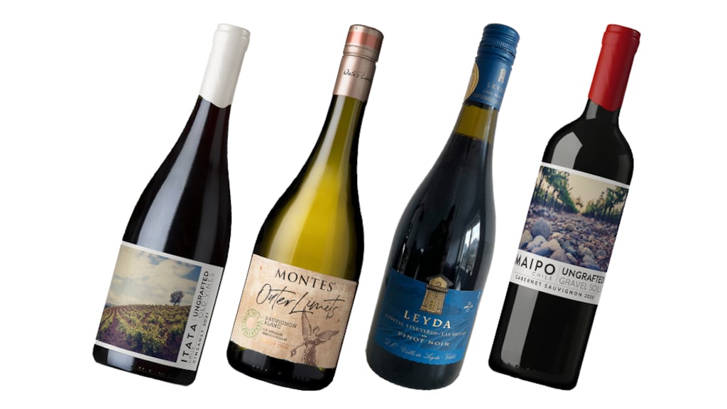 Chile makes some excellent premium wines