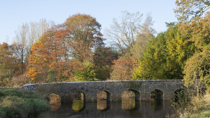 From Abbey Leix: an Irish Home and its Demesne, by William Laffan, published by Churchill House Press