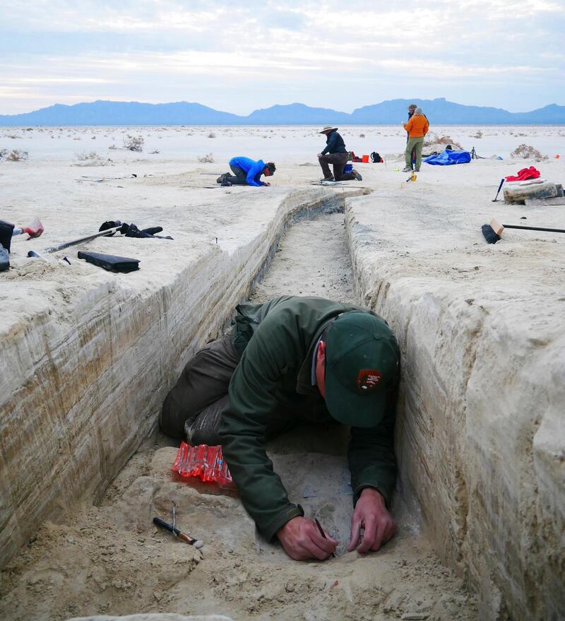 IResearchers work on excavating a footprint in the bottom of trench at White Sands National Park in New Mexico. Photograph: Dan Odess / The New York Times
