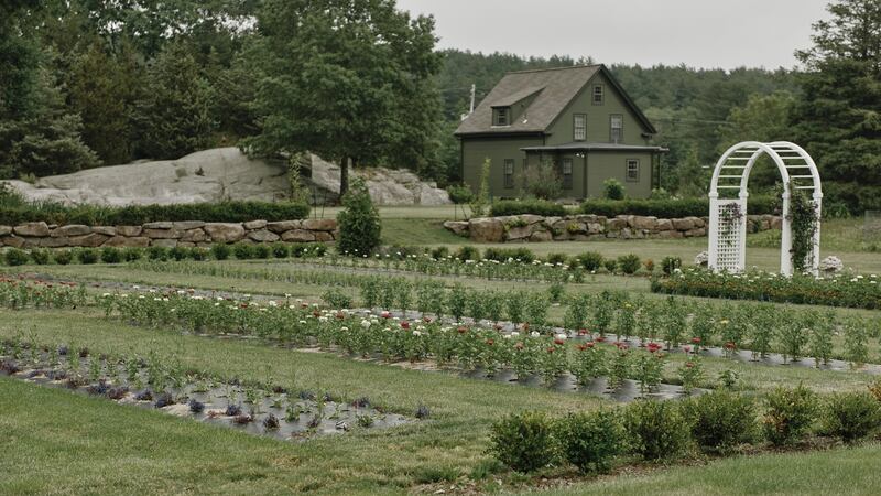 The  flower garden. Photograph:  Tony Luong/New York Times