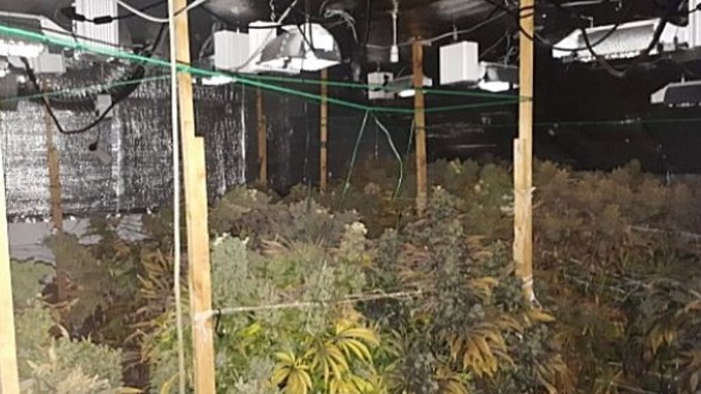 Following the Garda raid the narcotics will now be sent for analysis.