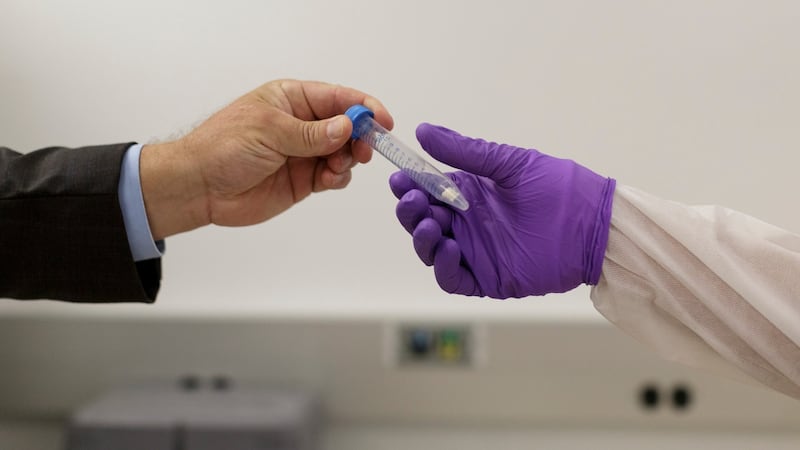 A demonstration vial of small bone fragments that can be used to extract DNA. Photograph: Anna Watts/The New York Times