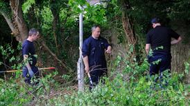 Gardaí identify suspect for fatal stabbing of teen in Dundrum