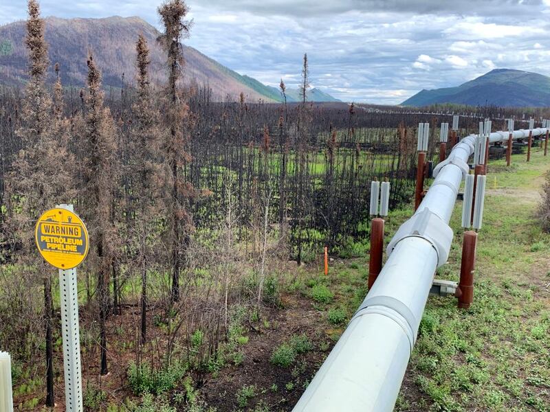 The pipeline is very visible but doesn't ruin the view