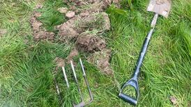 New beginnings: I am far from the earth goddess I imagined