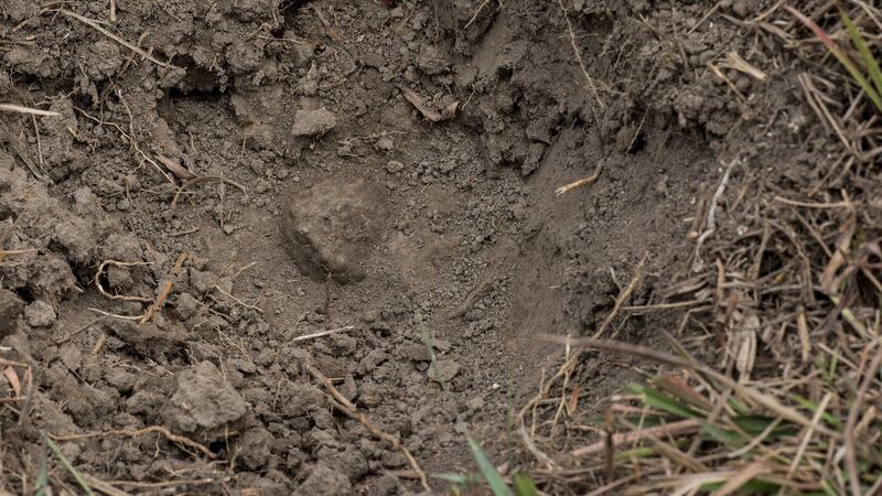 An unexploded ordnance located by Mine Action Group during a demining mission in Phonsavan northeast Laos. Brenda Fitzsimons / The Irish Times