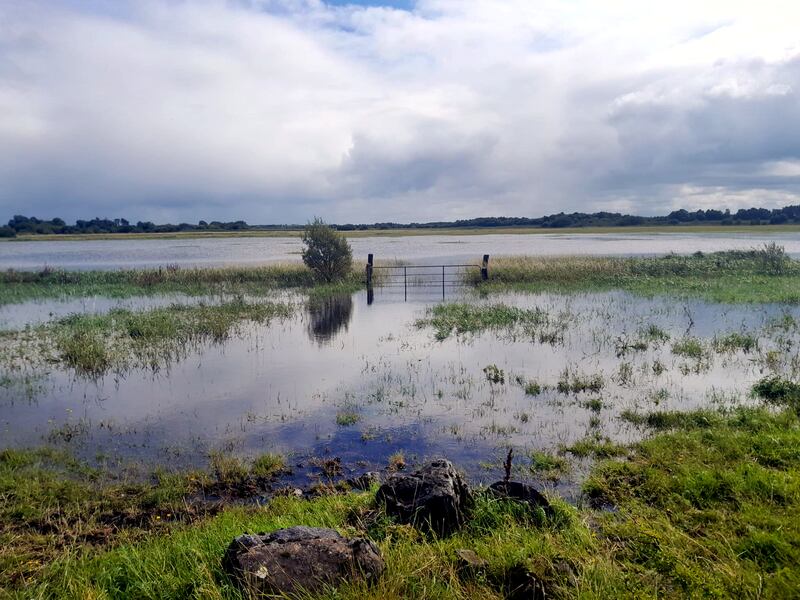 Farmers says flooding on the Shannon Callows between Athlone and Banagher, pictured here, has ruined hay and sileage.
