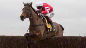 Coneygree emerges from Haydock return unscathed