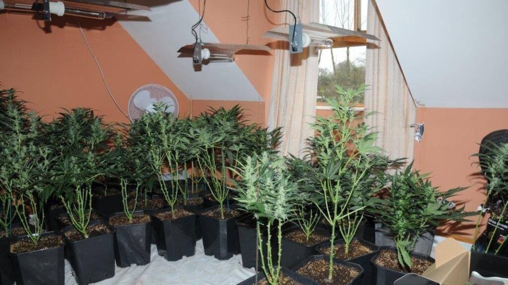 A grow house which was discovered in Co Carlow. Photograph: Garda Press Office